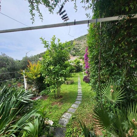 Greengarden Dubrovnik Bagian luar foto